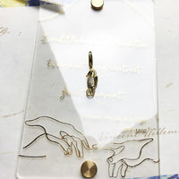 סוס ים של היפוקמפוס Charm
