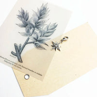 כוכב תכשיט קראון Charm