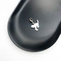 작은 새끼 고양이 고양이 Charm