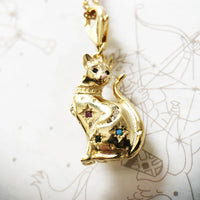Collar de gato dorado