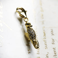 סוס ים של היפוקמפוס Charm