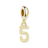 金メッキ番号 Charm