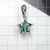 シェルスター Charm