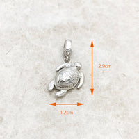 צָב Charm
