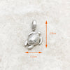 カメ（Tortoise） Charm
