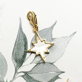 Celestial Seashell 스타 매력