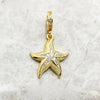 金色のヒトデ Charm