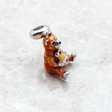 마시는 곰 매력