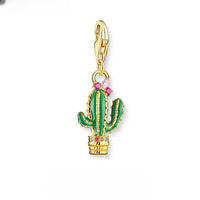 קקטוס ירוק Charm