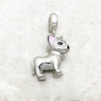 치와와 개 Charm