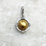 빈티지 글로브 회전 Charm