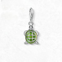 צב ירוק Charm