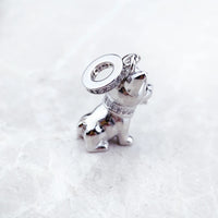 코기 개 Charm