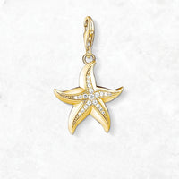 황금 불가사리 Charm