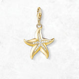 황금 불가사리 Charm