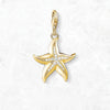 金色のヒトデ Charm