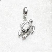 남생이 Charm