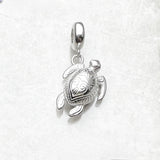 남생이 Charm