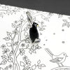 ペンギンの魅力