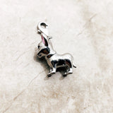 치와와 개 Charm