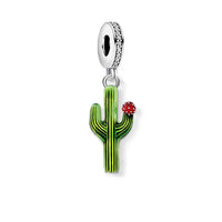 קקטוס עם פרח Charm