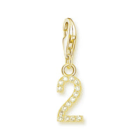 מספר מצופה זהב Charm