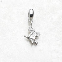 매직 빗자루 Charm