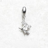매직 빗자루 Charm