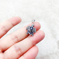 거북이 Charm