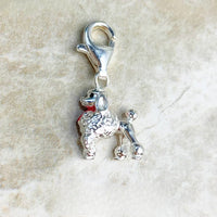 푸들 개 Charm
