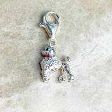 푸들 개 Charm