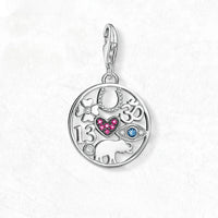 행운의 재산 Charm