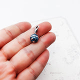 글로브 세계지도 Charm