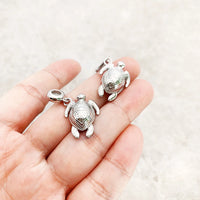남생이 Charm