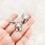 남생이 Charm