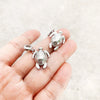 カメ（Tortoise） Charm