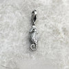 タツノオトシゴ Charm