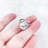 고양이와 새끼 고양이 Charm