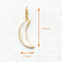 황금 문 Charm 펜던트