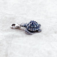 거북이 Charm