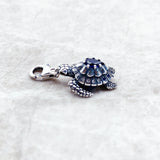 거북이 Charm