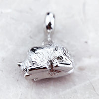 고양이와 새끼 고양이 Charm