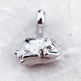 고양이와 새끼 고양이 Charm