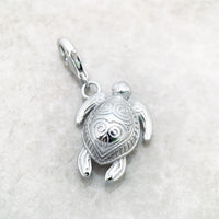 צָב Charm