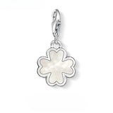 클로버 쉘 Charm