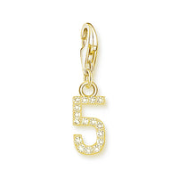 מספר מצופה זהב Charm