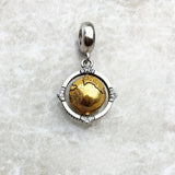 빈티지 글로브 회전 Charm