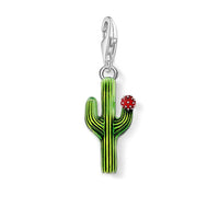 קקטוס עם פרח Charm