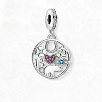 행운의 재산 Charm