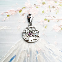 행운의 재산 Charm
